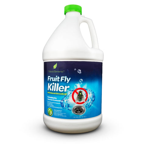 Fruit Fly