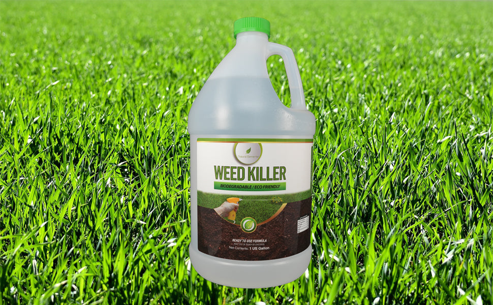 natural herbicide for weeds Weed Killer| Natural Elements – Natural Elements