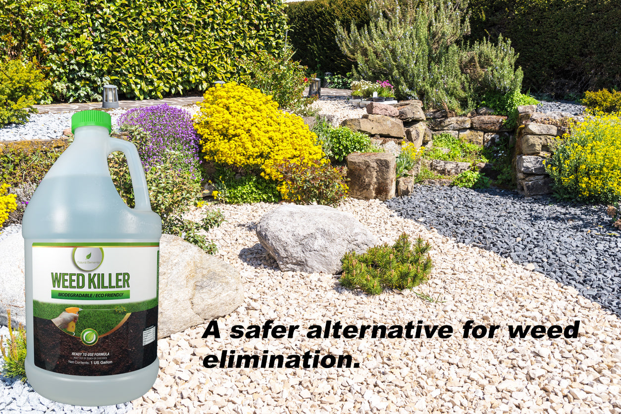 natural herbicides for weeds Weed Killer| Natural Elements – Natural Elements