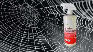   Spider Repellent
