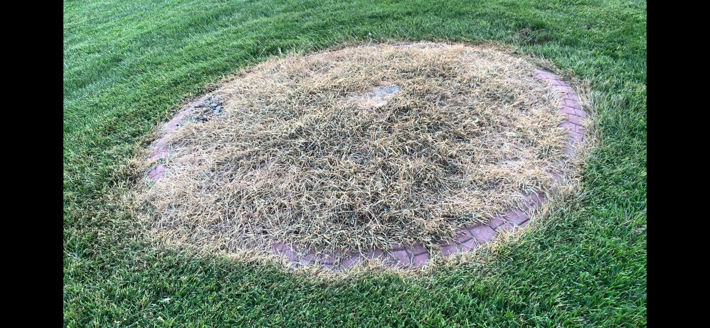 natural grass herbicide Weed Killer| Natural Elements – Natural Elements