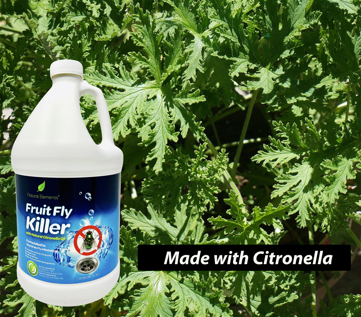 house plant flies killer Natural Elements Fruit Fly Killer | Drain Flies, Gnats, Flying Ants | Home & Commercial Use | Non-Toxic Gel Formula | 1 Gallon