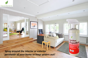 Natural Elements Spider Repellent | Peppermint Based | Kills and Repels Spiders, Ants, and More!