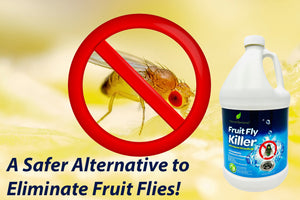 Natural Elements Fruit Fly Killer | Drain Flies, Gnats, Flying Ants | Home & Commercial Use | Non-Toxic Gel Formula | 1 Gallon | 128 Fl Oz